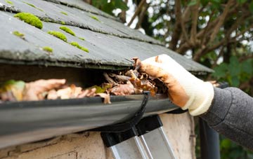 gutter cleaning Sea Mills